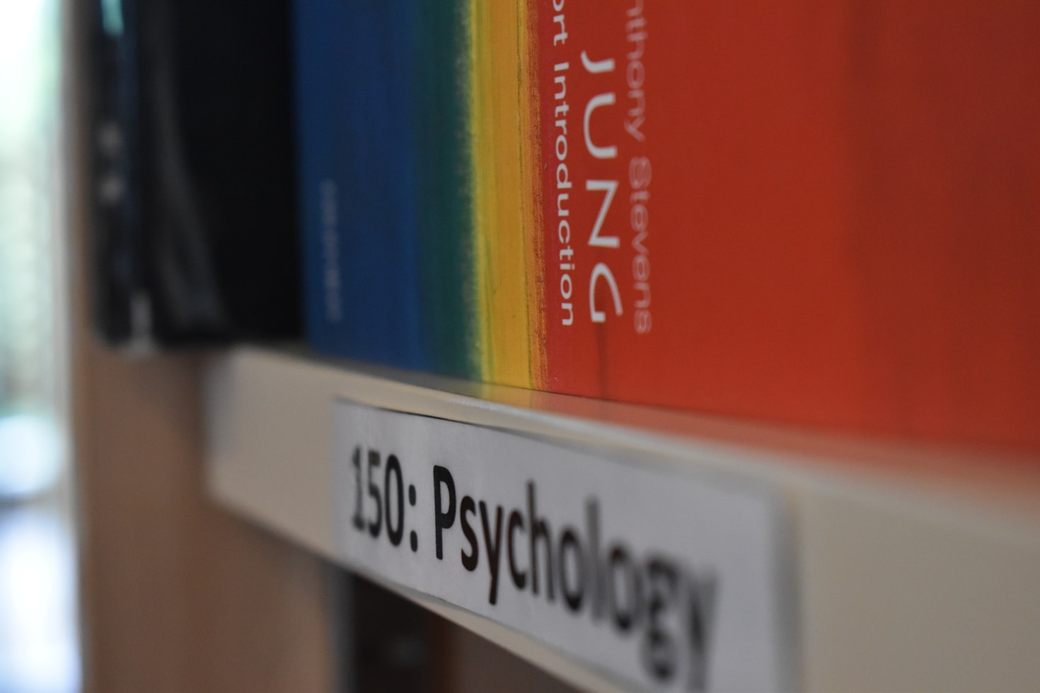 The Role of Narratives in Shaping Perception