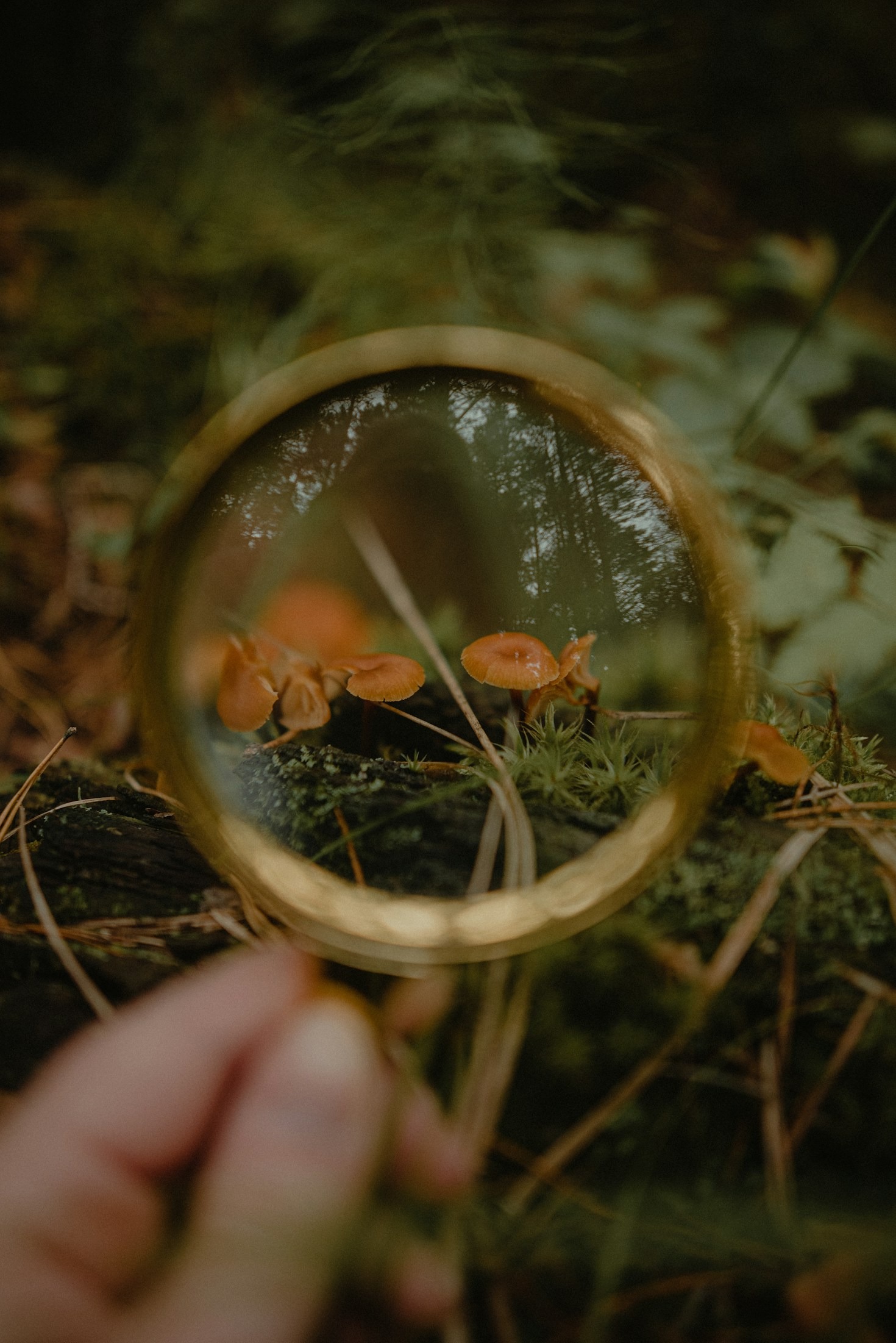 Exploring the Hidden Tales of Daily Life